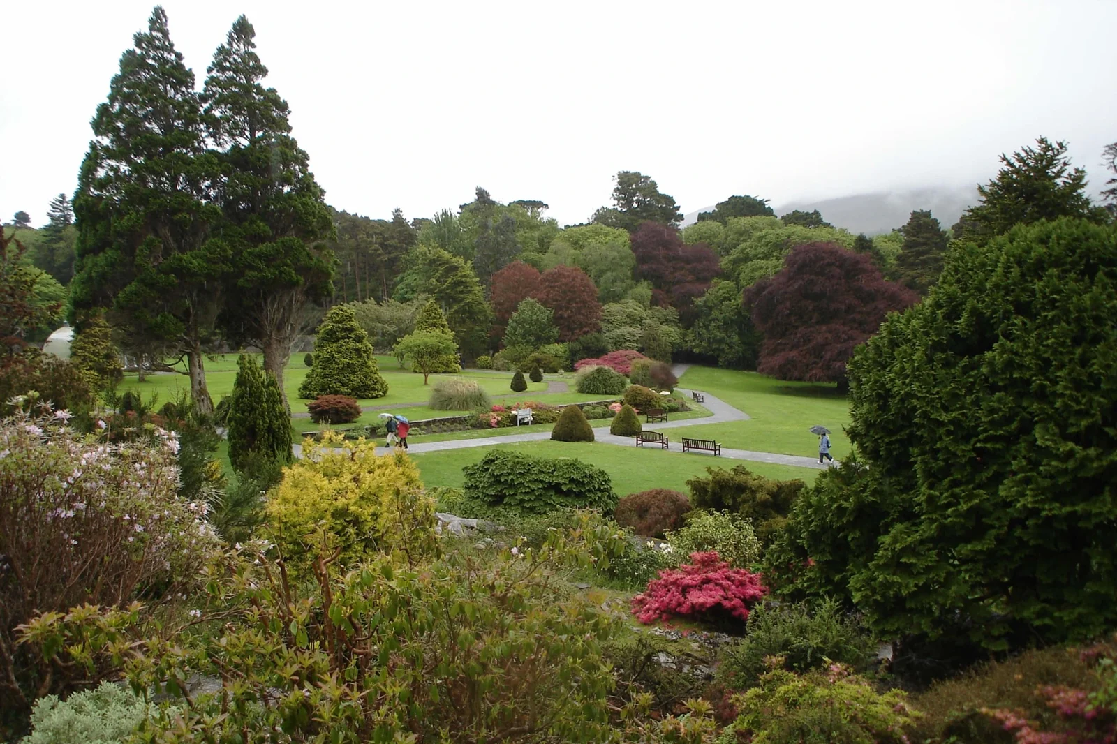Jardins colorés entourés d’arbres à Killarney