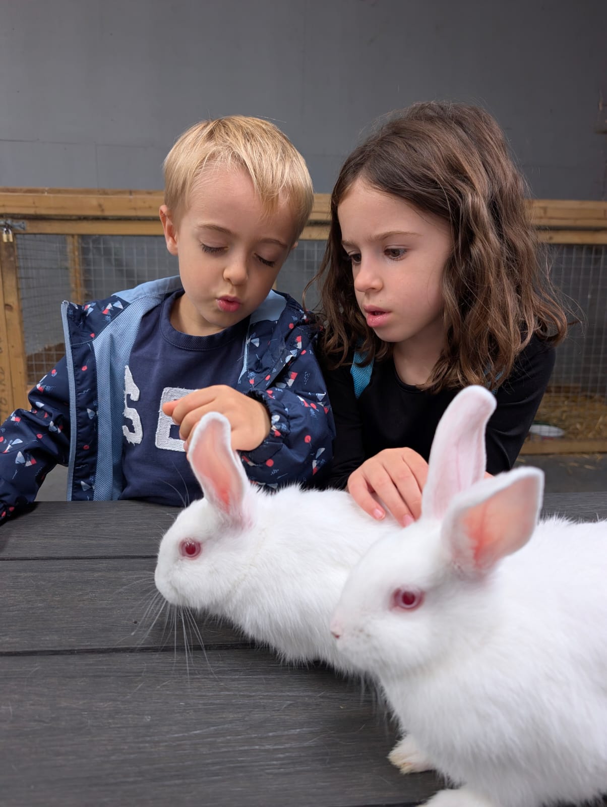Kinder bei Nachmittagsaktivitäten der KSOE