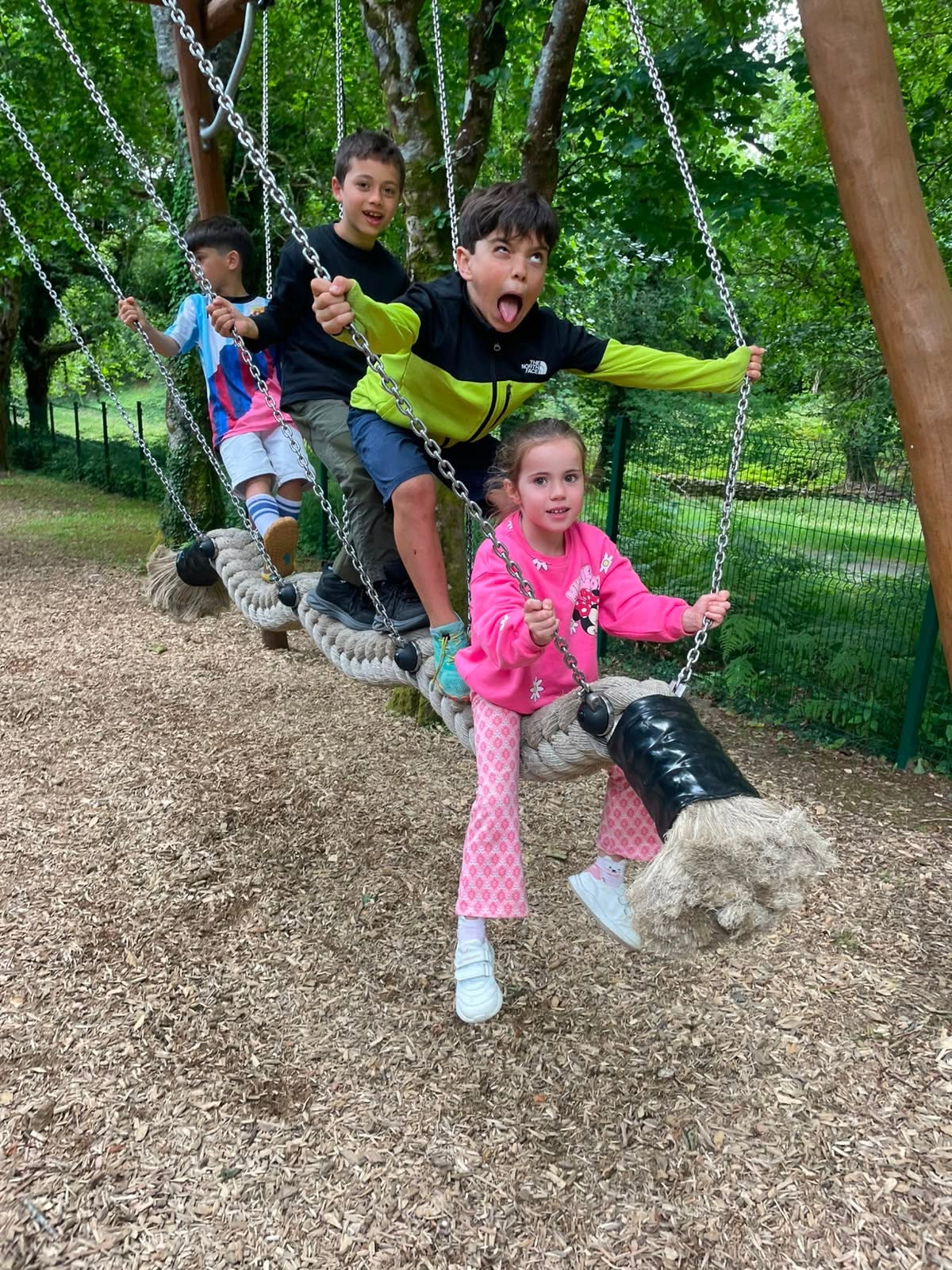 Niños disfrutando juntos de un columpio de cuerda al aire libre