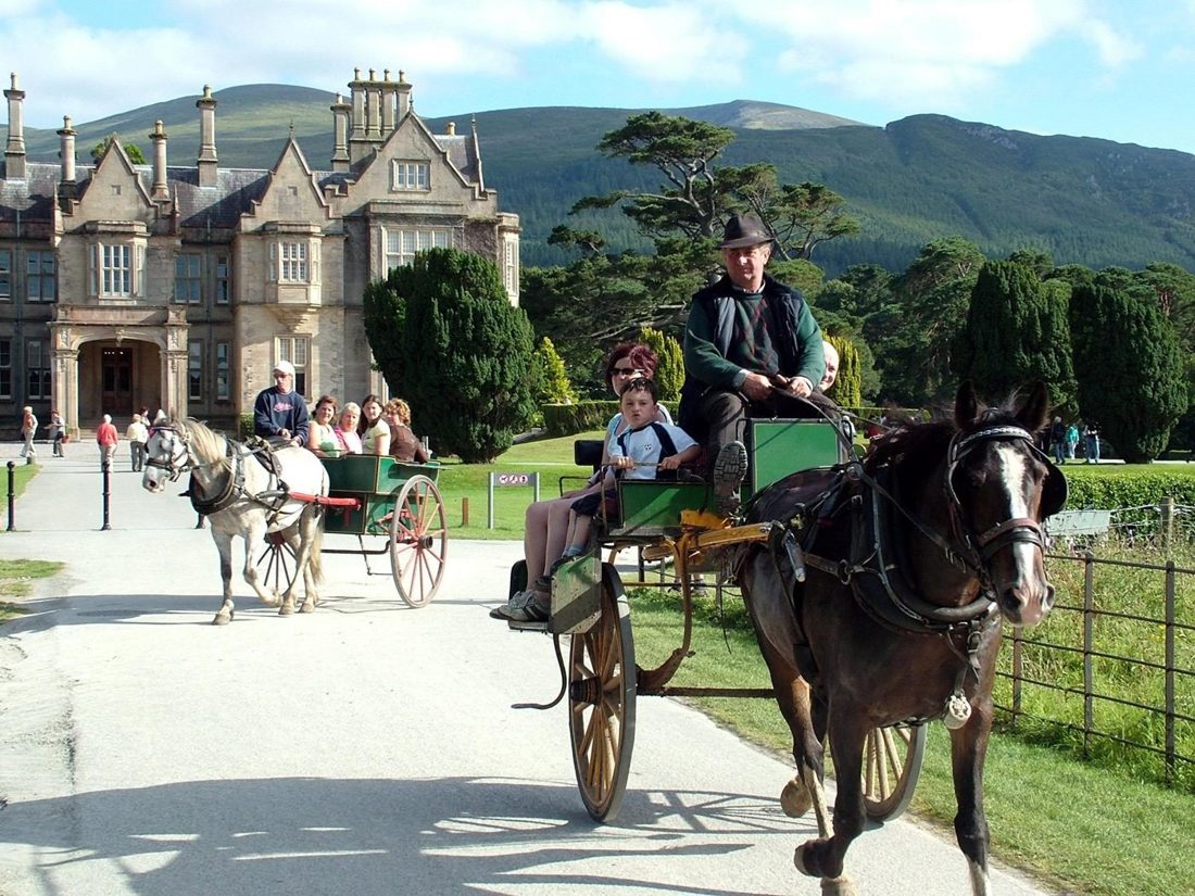 Fotografía: Aprende inglés. Descubre Killarney.