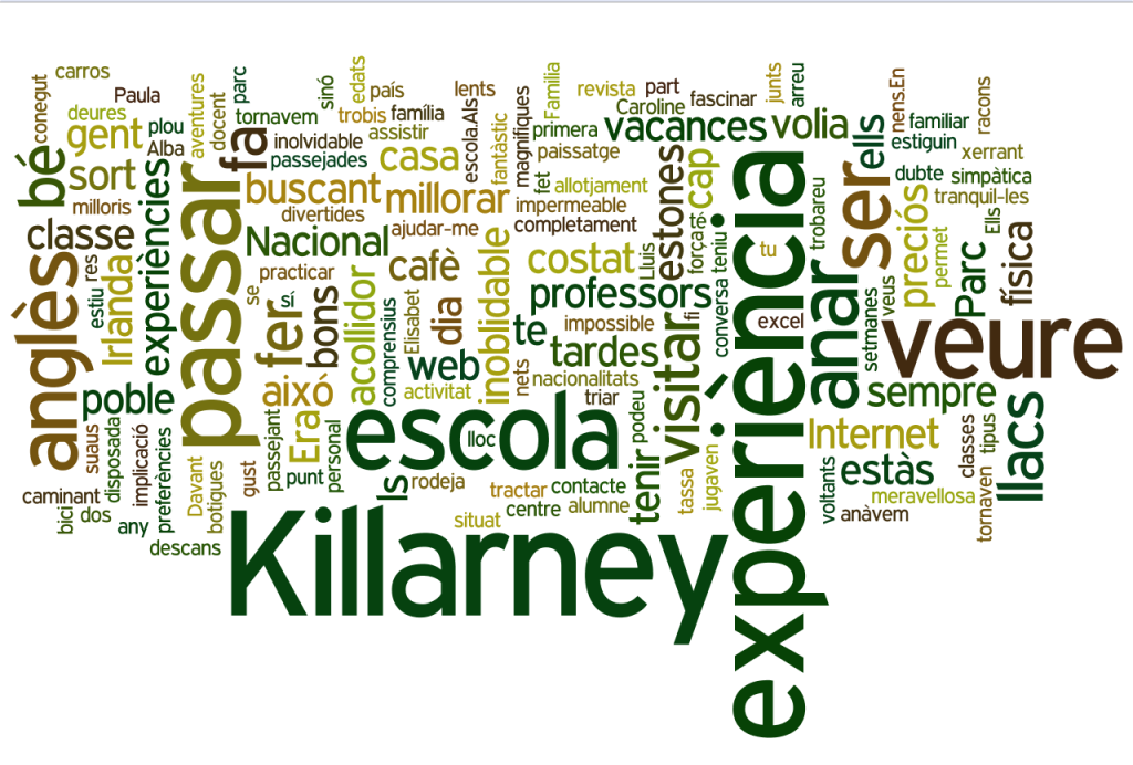 wordle bas