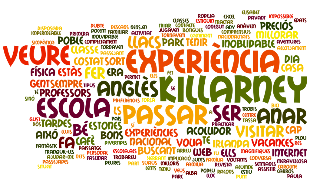 wordle cat